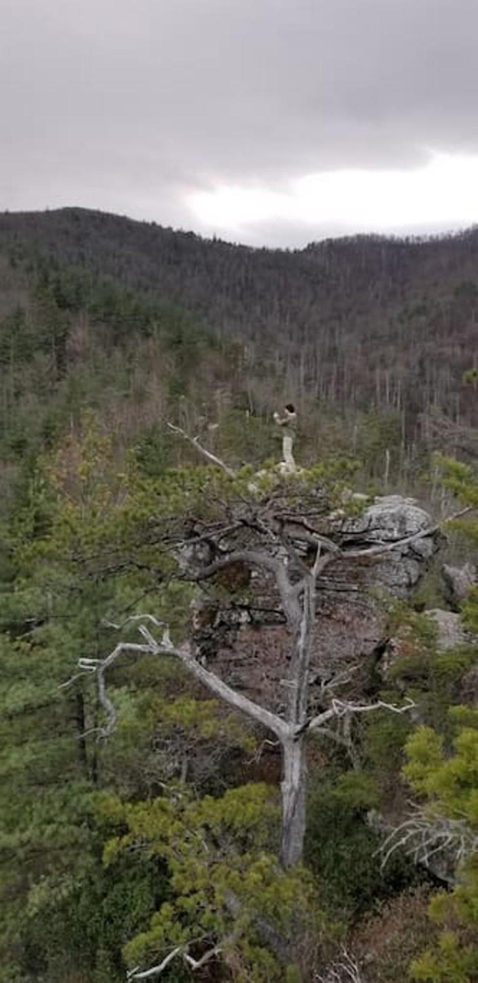 Bark House Heart Of Linville Falls Wspa Newland Dış mekan fotoğraf